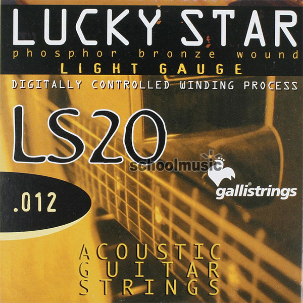 Galli String LS20 Phosphor bronze Light (012-053)