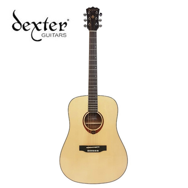Dexter 덱스터 D-9 NEW (신형) / 어쿠스틱 기타